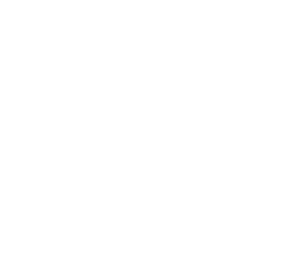 Maaginen Apina