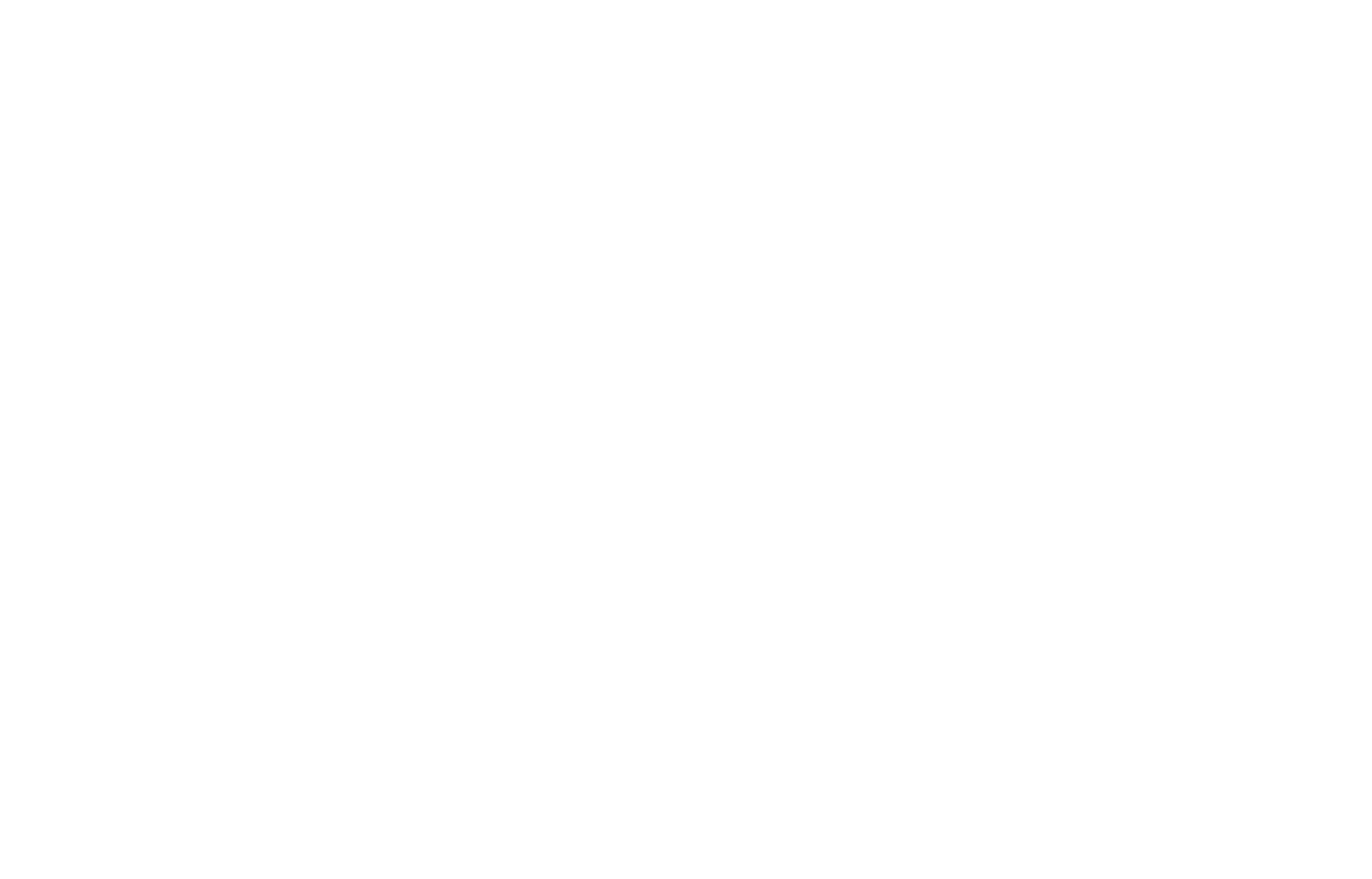 Spy Team