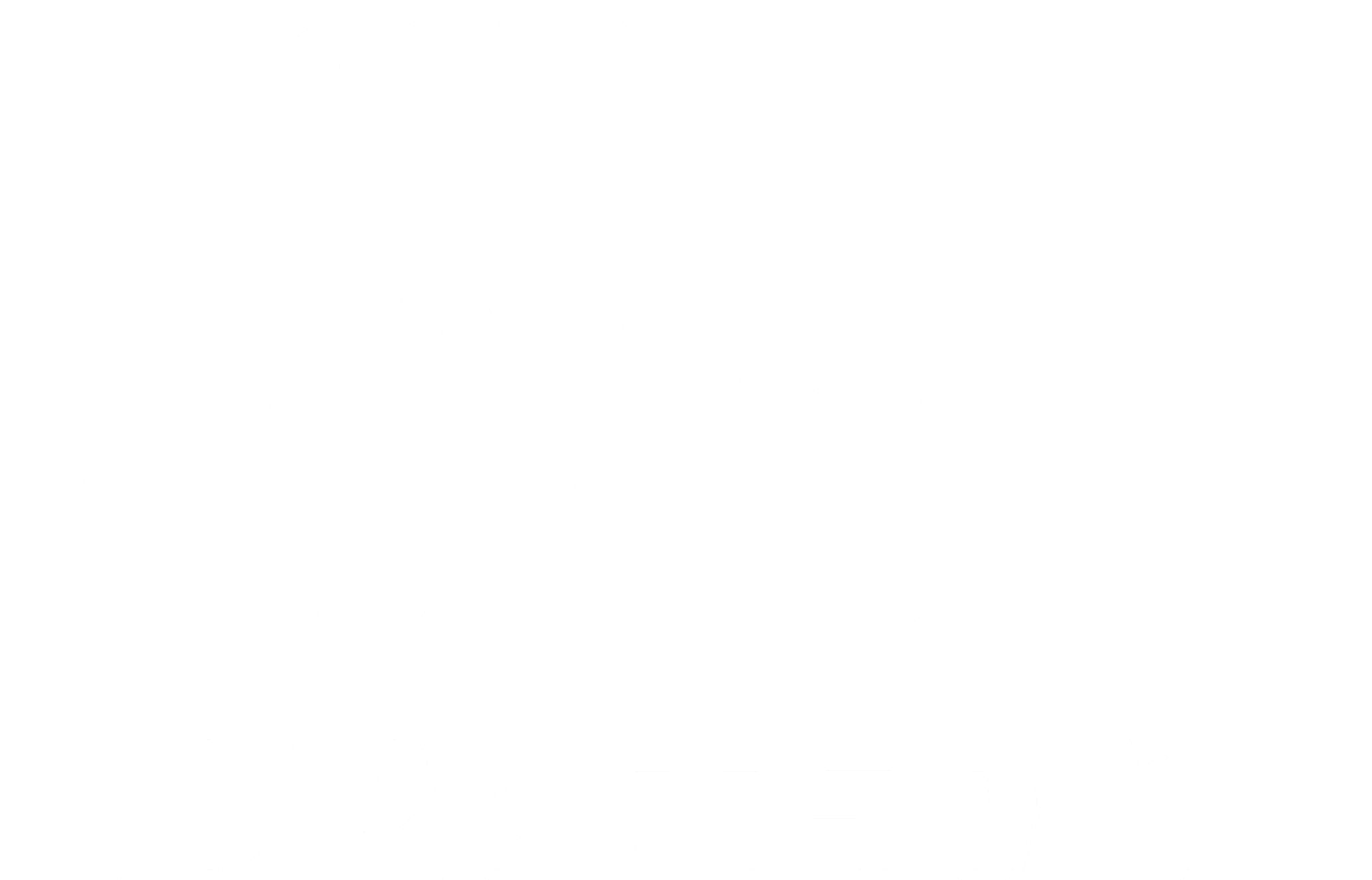 Spy Team